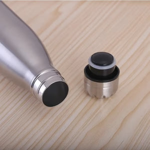 Stainless Steel Water Bottle