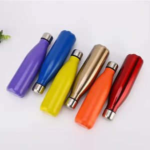 Stainless Steel Water Bottle